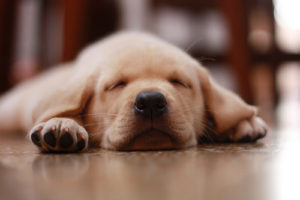 3453416308_2b21a07422