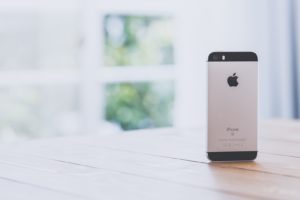 goripaku0i9a4164_tp_v